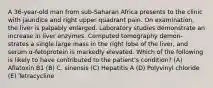 A 36-year-old man from sub-Saharan Africa presents to the clinic with jaundice and right upper quadrant pain. On examination, the liver is palpably enlarged. Laboratory studies demonstrate an increase in liver enzymes. Computed tomography demon- strates a single large mass in the right lobe of the liver, and serum α-fetoprotein is markedly elevated. Which of the following is likely to have contributed to the patient's condition? (A) Aflatoxin B1 (B) C. sinensis (C) Hepatitis A (D) Polyvinyl chloride (E) Tetracycline