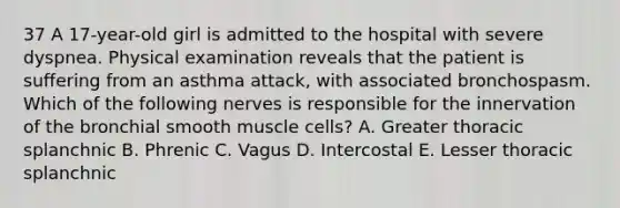 37 A 17-year-old girl is admitted to the hospital with severe dyspnea. Physical examination reveals that the patient is suffering from an asthma attack, with associated bronchospasm. Which of the following nerves is responsible for the innervation of the bronchial smooth muscle cells? A. Greater thoracic splanchnic B. Phrenic C. Vagus D. Intercostal E. Lesser thoracic splanchnic