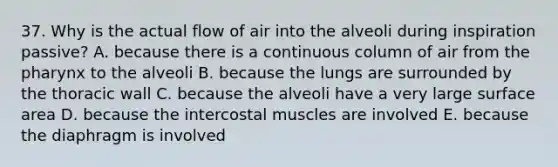 37. Why is the actual flow of air into the alveoli during inspiration passive? A. because there is a continuous column of air from the pharynx to the alveoli B. because the lungs are surrounded by the thoracic wall C. because the alveoli have a very large surface area D. because the intercostal muscles are involved E. because the diaphragm is involved