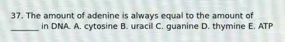 37. The amount of adenine is always equal to the amount of _______ in DNA. A. cytosine B. uracil C. guanine D. thymine E. ATP