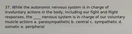 37. While the autonomic nervous system is in charge of involuntary actions in the body, including our fight and flight responses, the ____ nervous system is in charge of our voluntary muscle actions a. parasympathetic b. central c. sympathetic d. somatic e. peripheral