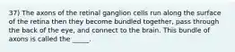 37) The axons of the retinal ganglion cells run along the surface of the retina then they become bundled together, pass through the back of the eye, and connect to the brain. This bundle of axons is called the _____.