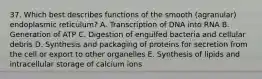 37. Which best describes functions of the smooth (agranular) endoplasmic reticulum? A. Transcription of DNA into RNA B. Generation of ATP C. Digestion of engulfed bacteria and cellular debris D. Synthesis and packaging of proteins for secretion from the cell or export to other organelles E. Synthesis of lipids and intracellular storage of calcium ions