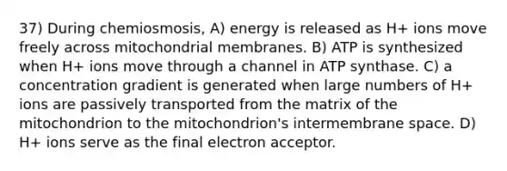 37) During chemiosmosis, A) energy is released as H+ ions move freely across mitochondrial membranes. B) ATP is synthesized when H+ ions move through a channel in ATP synthase. C) a concentration gradient is generated when large numbers of H+ ions are passively transported from the matrix of the mitochondrion to the mitochondrion's intermembrane space. D) H+ ions serve as the final electron acceptor.