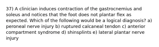 37) A clinician induces contraction of the gastrocnemius and soleus and notices that the foot does not plantar flex as expected. Which of the following would be a logical diagnosis? a) peroneal nerve injury b) ruptured calcaneal tendon c) anterior compartment syndrome d) shinsplints e) lateral plantar nerve injury