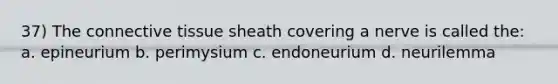 37) The connective tissue sheath covering a nerve is called the: a. epineurium b. perimysium c. endoneurium d. neurilemma