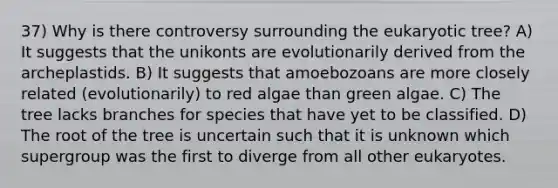 37) Why is there controversy surrounding the eukaryotic tree? A) It suggests that the unikonts are evolutionarily derived from the archeplastids. B) It suggests that amoebozoans are more closely related (evolutionarily) to red algae than green algae. C) The tree lacks branches for species that have yet to be classified. D) The root of the tree is uncertain such that it is unknown which supergroup was the first to diverge from all other eukaryotes.