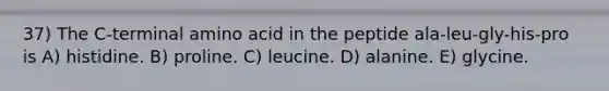 37) The C-terminal amino acid in the peptide ala-leu-gly-his-pro is A) histidine. B) proline. C) leucine. D) alanine. E) glycine.