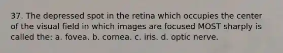 37. The depressed spot in the retina which occupies the center of the visual field in which images are focused MOST sharply is called the: a. fovea. b. cornea. c. iris. d. optic nerve.