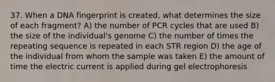 37. When a DNA fingerprint is created, what determines the size of each fragment? A) the number of PCR cycles that are used B) the size of the individual's genome C) the number of times the repeating sequence is repeated in each STR region D) the age of the individual from whom the sample was taken E) the amount of time the electric current is applied during gel electrophoresis