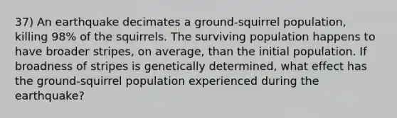 37) An earthquake decimates a ground-squirrel population, killing 98% of the squirrels. The surviving population happens to have broader stripes, on average, than the initial population. If broadness of stripes is genetically determined, what effect has the ground-squirrel population experienced during the earthquake?