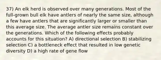 37) An elk herd is observed over many generations. Most of the full-grown bull elk have antlers of nearly the same size, although a few have antlers that are significantly larger or smaller than this average size. The average antler size remains constant over the generations. Which of the following effects probably accounts for this situation? A) directional selection B) stabilizing selection C) a bottleneck effect that resulted in low genetic diversity D) a high rate of gene flow