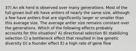 37) An elk herd is observed over many generations. Most of the full-grown bull elk have antlers of nearly the same size, although a few have antlers that are significantly larger or smaller than this average size. The average antler size remains constant over the generations. Which of the following effects probably accounts for this situation? A) directional selection B) stabilizing selection C) a bottleneck effect that resulted in low genetic diversity D) a founder effect E) a high rate of gene flow