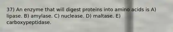 37) An enzyme that will digest proteins into amino acids is A) lipase. B) amylase. C) nuclease. D) maltase. E) carboxypeptidase.