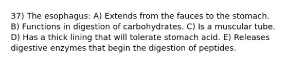 37) The esophagus: A) Extends from the fauces to the stomach. B) Functions in digestion of carbohydrates. C) Is a muscular tube. D) Has a thick lining that will tolerate stomach acid. E) Releases digestive enzymes that begin the digestion of peptides.