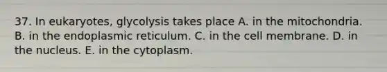 37. In eukaryotes, glycolysis takes place A. in the mitochondria. B. in the endoplasmic reticulum. C. in the cell membrane. D. in the nucleus. E. in the cytoplasm.