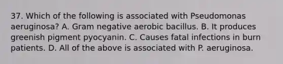 37. Which of the following is associated with Pseudomonas aeruginosa? A. Gram negative aerobic bacillus. B. It produces greenish pigment pyocyanin. C. Causes fatal infections in burn patients. D. All of the above is associated with P. aeruginosa.