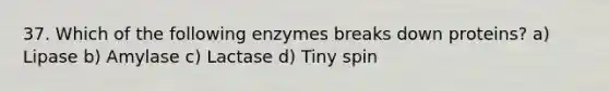 37. Which of the following enzymes breaks down proteins? a) Lipase b) Amylase c) Lactase d) Tiny spin