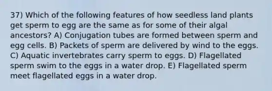 37) Which of the following features of how seedless land plants get sperm to egg are the same as for some of their algal ancestors? A) Conjugation tubes are formed between sperm and egg cells. B) Packets of sperm are delivered by wind to the eggs. C) Aquatic invertebrates carry sperm to eggs. D) Flagellated sperm swim to the eggs in a water drop. E) Flagellated sperm meet flagellated eggs in a water drop.