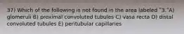37) Which of the following is not found in the area labeled ʺ3.ʺA) glomeruli B) proximal convoluted tubules C) vasa recta D) distal convoluted tubules E) peritubular capillaries