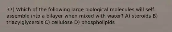 37) Which of the following large biological molecules will self-assemble into a bilayer when mixed with water? A) steroids B) triacylglycerols C) cellulose D) phospholipids