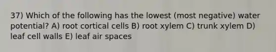 37) Which of the following has the lowest (most negative) water potential? A) root cortical cells B) root xylem C) trunk xylem D) leaf cell walls E) leaf air spaces