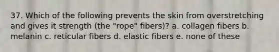 37. Which of the following prevents the skin from overstretching and gives it strength (the "rope" fibers)? a. collagen fibers b. melanin c. reticular fibers d. elastic fibers e. none of these