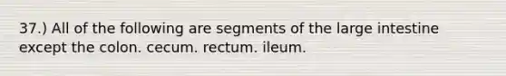 37.) All of the following are segments of the large intestine except the colon. cecum. rectum. ileum.