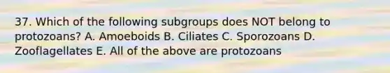 37. Which of the following subgroups does NOT belong to protozoans? A. Amoeboids B. Ciliates C. Sporozoans D. Zooflagellates E. All of the above are protozoans