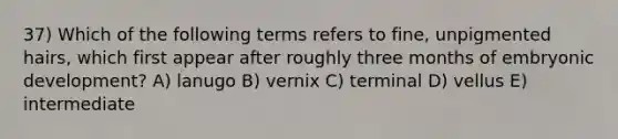 37) Which of the following terms refers to fine, unpigmented hairs, which first appear after roughly three months of embryonic development? A) lanugo B) vernix C) terminal D) vellus E) intermediate