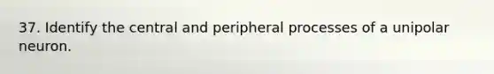 37. Identify the central and peripheral processes of a unipolar neuron.