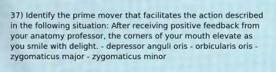 37) Identify the prime mover that facilitates the action described in the following situation: After receiving positive feedback from your anatomy professor, the corners of your mouth elevate as you smile with delight. - depressor anguli oris - orbicularis oris - zygomaticus major - zygomaticus minor