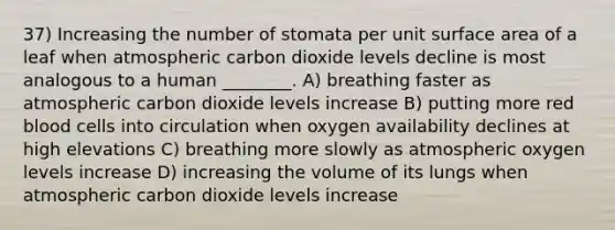 37) Increasing the number of stomata per unit surface area of a leaf when atmospheric carbon dioxide levels decline is most analogous to a human ________. A) breathing faster as atmospheric carbon dioxide levels increase B) putting more red blood cells into circulation when oxygen availability declines at high elevations C) breathing more slowly as atmospheric oxygen levels increase D) increasing the volume of its lungs when atmospheric carbon dioxide levels increase