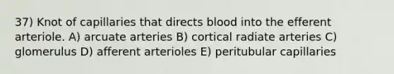 37) Knot of capillaries that directs blood into the efferent arteriole. A) arcuate arteries B) cortical radiate arteries C) glomerulus D) afferent arterioles E) peritubular capillaries