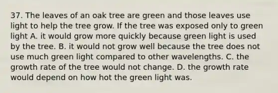 37. The leaves of an oak tree are green and those leaves use light to help the tree grow. If the tree was exposed only to green light A. it would grow more quickly because green light is used by the tree. B. it would not grow well because the tree does not use much green light compared to other wavelengths. C. the growth rate of the tree would not change. D. the growth rate would depend on how hot the green light was.