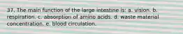 37. The main function of the large intestine is: a. vision. b. respiration. c. absorption of amino acids. d. waste material concentration. e. blood circulation.