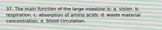 37. The main function of the large intestine is: a. vision. b. respiration. c. absorption of amino acids. d. waste material concentration. e. blood circulation.