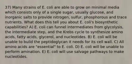 37) Many strains of E. coli are able to grow on minimal media which consists only of a single sugar, usually glucose, and inorganic salts to provide nitrogen, sulfur, phosphorous and trace nutrients. What does this tell you about E. coli's biosynthetic capabilities? A) E. coli can funnel intermediates from glycolysis, the intermediate step, and the Krebs cycle to synthesize amino acids, fatty acids, glycerol, and nucleotides. B) E. coli will be unable to build the peptidoglycan it needs for its cell wall. C) All amino acids are "essential" to E. coli. D) E. coli will be unable to perform amination. E) E. coli will use salvage pathways to make nucleotides.