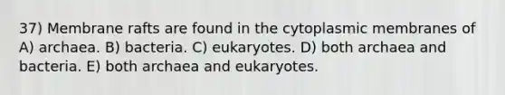 37) Membrane rafts are found in the cytoplasmic membranes of A) archaea. B) bacteria. C) eukaryotes. D) both archaea and bacteria. E) both archaea and eukaryotes.