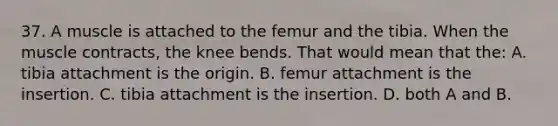 37. A muscle is attached to the femur and the tibia. When the muscle contracts, the knee bends. That would mean that the: A. tibia attachment is the origin. B. femur attachment is the insertion. C. tibia attachment is the insertion. D. both A and B.