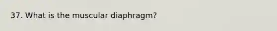 37. What is the muscular diaphragm?