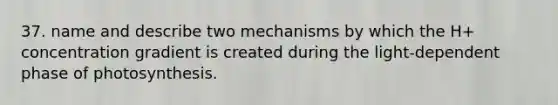 37. name and describe two mechanisms by which the H+ concentration gradient is created during the light-dependent phase of photosynthesis.