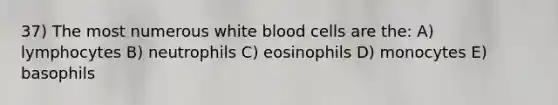 37) The most numerous white blood cells are the: A) lymphocytes B) neutrophils C) eosinophils D) monocytes E) basophils