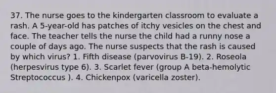 37. The nurse goes to the kindergarten classroom to evaluate a rash. A 5-year-old has patches of itchy vesicles on the chest and face. The teacher tells the nurse the child had a runny nose a couple of days ago. The nurse suspects that the rash is caused by which virus? 1. Fifth disease (parvovirus B-19). 2. Roseola (herpesvirus type 6). 3. Scarlet fever (group A beta-hemolytic Streptococcus ). 4. Chickenpox (varicella zoster).