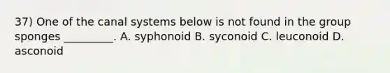 37) One of the canal systems below is not found in the group sponges _________. A. syphonoid B. syconoid C. leuconoid D. asconoid