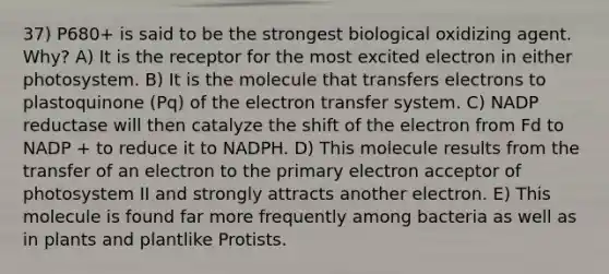 37) P680+ is said to be the strongest biological oxidizing agent. Why? A) It is the receptor for the most excited electron in either photosystem. B) It is the molecule that transfers electrons to plastoquinone (Pq) of the electron transfer system. C) NADP reductase will then catalyze the shift of the electron from Fd to NADP + to reduce it to NADPH. D) This molecule results from the transfer of an electron to the primary electron acceptor of photosystem II and strongly attracts another electron. E) This molecule is found far more frequently among bacteria as well as in plants and plantlike Protists.