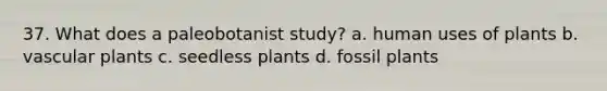 37. What does a paleobotanist study? a. human uses of plants b. <a href='https://www.questionai.com/knowledge/kbaUXKuBoK-vascular-plants' class='anchor-knowledge'>vascular plants</a> c. seedless plants d. fossil plants