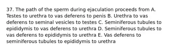 37. The path of the sperm during ejaculation proceeds from A. Testes to urethra to vas deferens to penis B. Urethra to vas deferens to seminal vesicles to testes C. Seminiferous tubules to epididymis to vas deferens to urethra D. Seminiferous tubules to vas deferens to epididymis to urethra E. Vas deferens to seminiferous tubules to epididymis to urethra