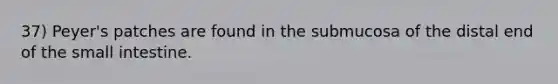 37) Peyer's patches are found in the submucosa of the distal end of the small intestine.