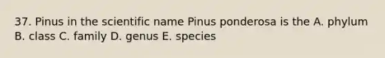 37. Pinus in the scientific name Pinus ponderosa is the A. phylum B. class C. family D. genus E. species